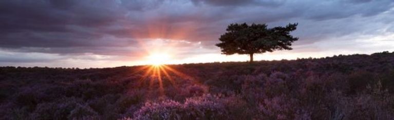 Mobile Towbar Fitting in <em>Suffolk</em>