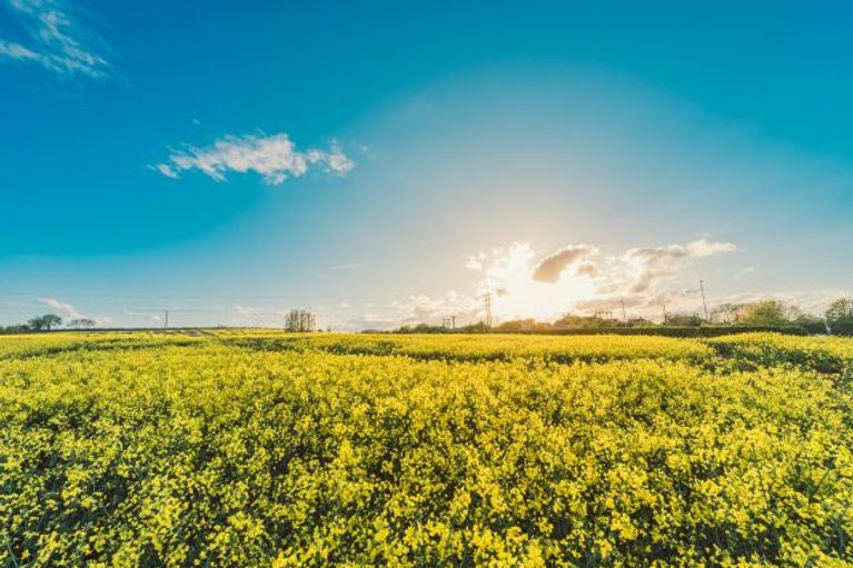 The Definitive Guide to Electric Cars