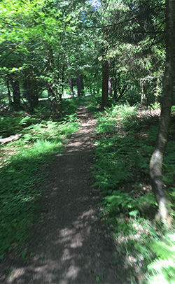 Cycle Routes - Mountain Biking Trail